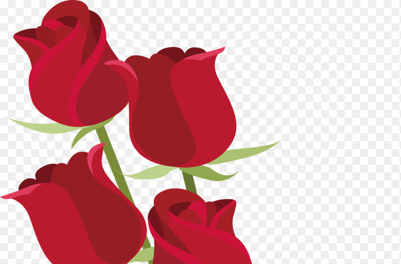 插画创意玫瑰花花束惊喜三八妇女节女神节免抠元素素材