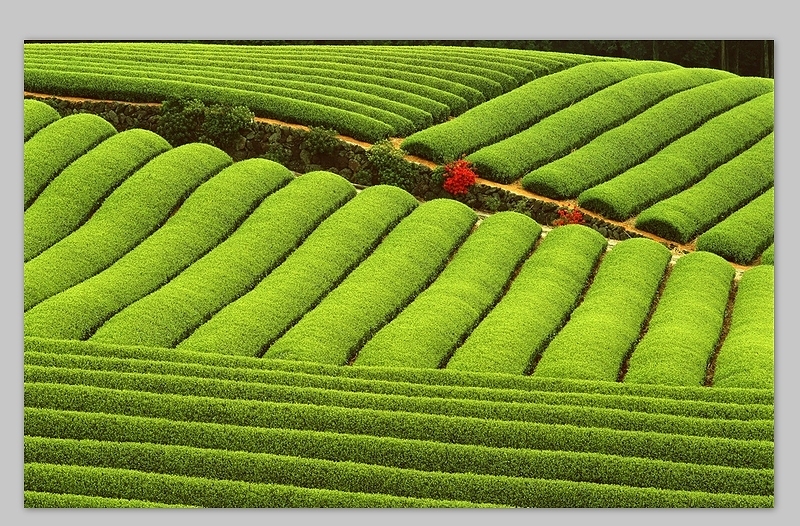 地理田园风光高清背景图组