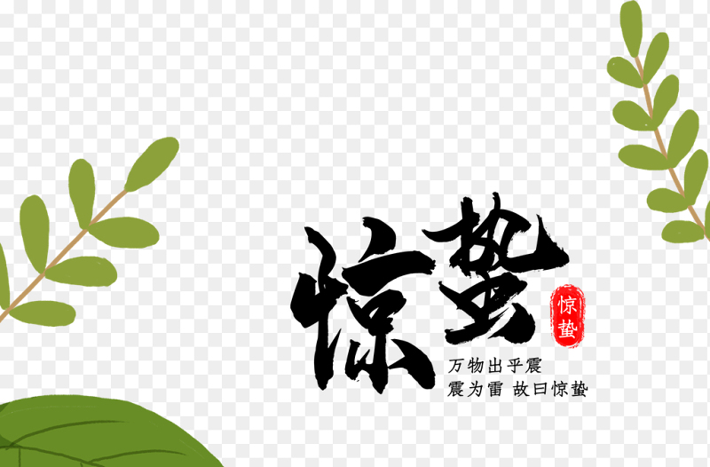万物昆虫苏醒瓢虫绿植植物草木中国传统二十四节气惊蛰时节主题素材免抠元素