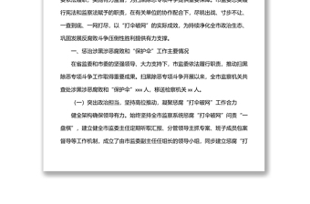 关于在扫黑除恶专项斗争中惩治涉黑涉恶腐败和“保护伞”工作情况报告（市级）