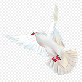 红脚纯白白色飞翔的和平鸽党政免抠元素素材