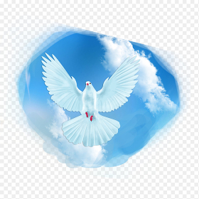 蓝色背景纯白飞翔的和平鸽党政免抠元素素材